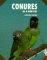 Conures as a New Pet