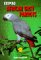 Keeping African Gray Parrots