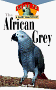 The African Grey  (An Owner's Guide to a Happy Healthy Pet)
