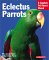 Eclectus Parrots