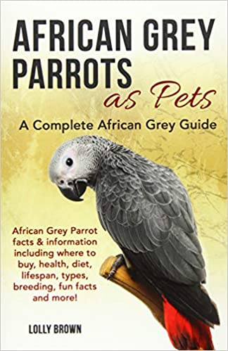 African Grey Parrots as Pets