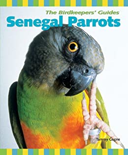 Senegal Parrots